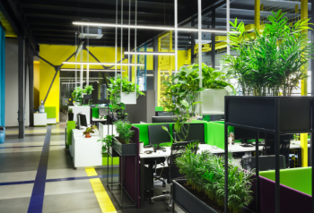 Green Office