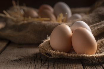 ökologische bio Eier