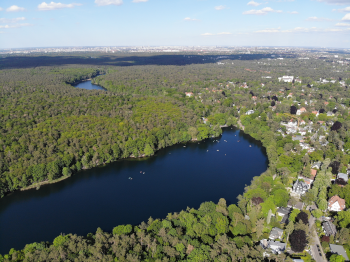 Grunewald mit Schlachtensee