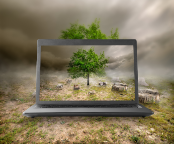 Kahle Landschaft mit Baum